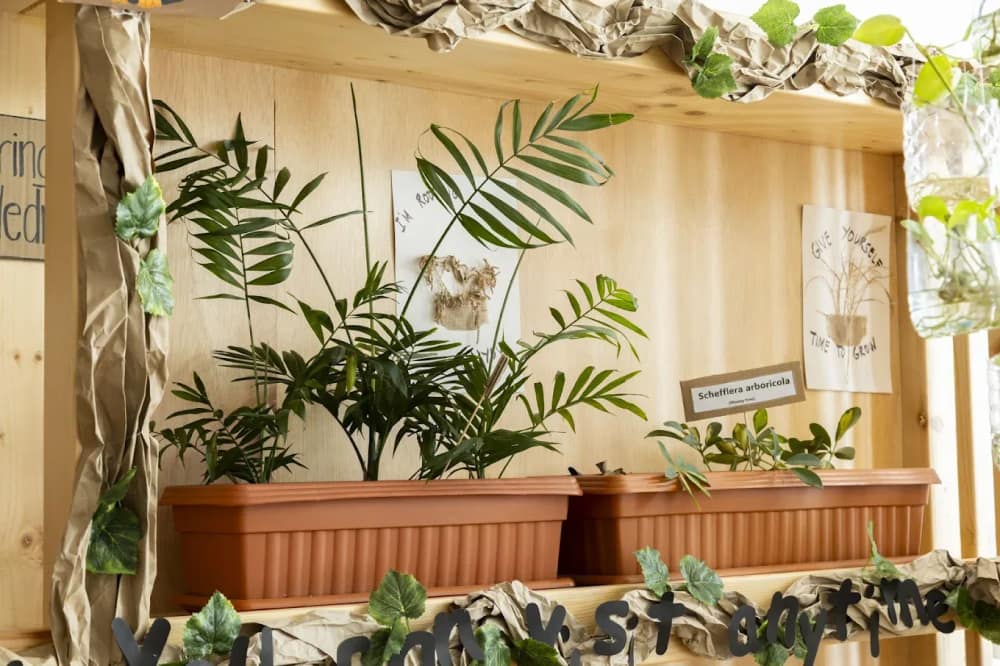 Blossom Nursery Al Reem Island — photo 3