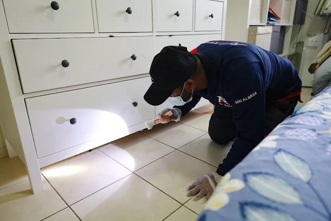 Al Rasa Pest Control Abu Dhabi - Al Rasa Pest Control Home Cleaning Abu Dhabi