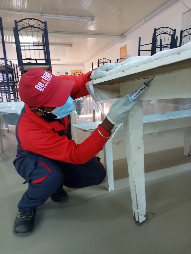 Debug Pest Control Abu Dhabi - photo 4