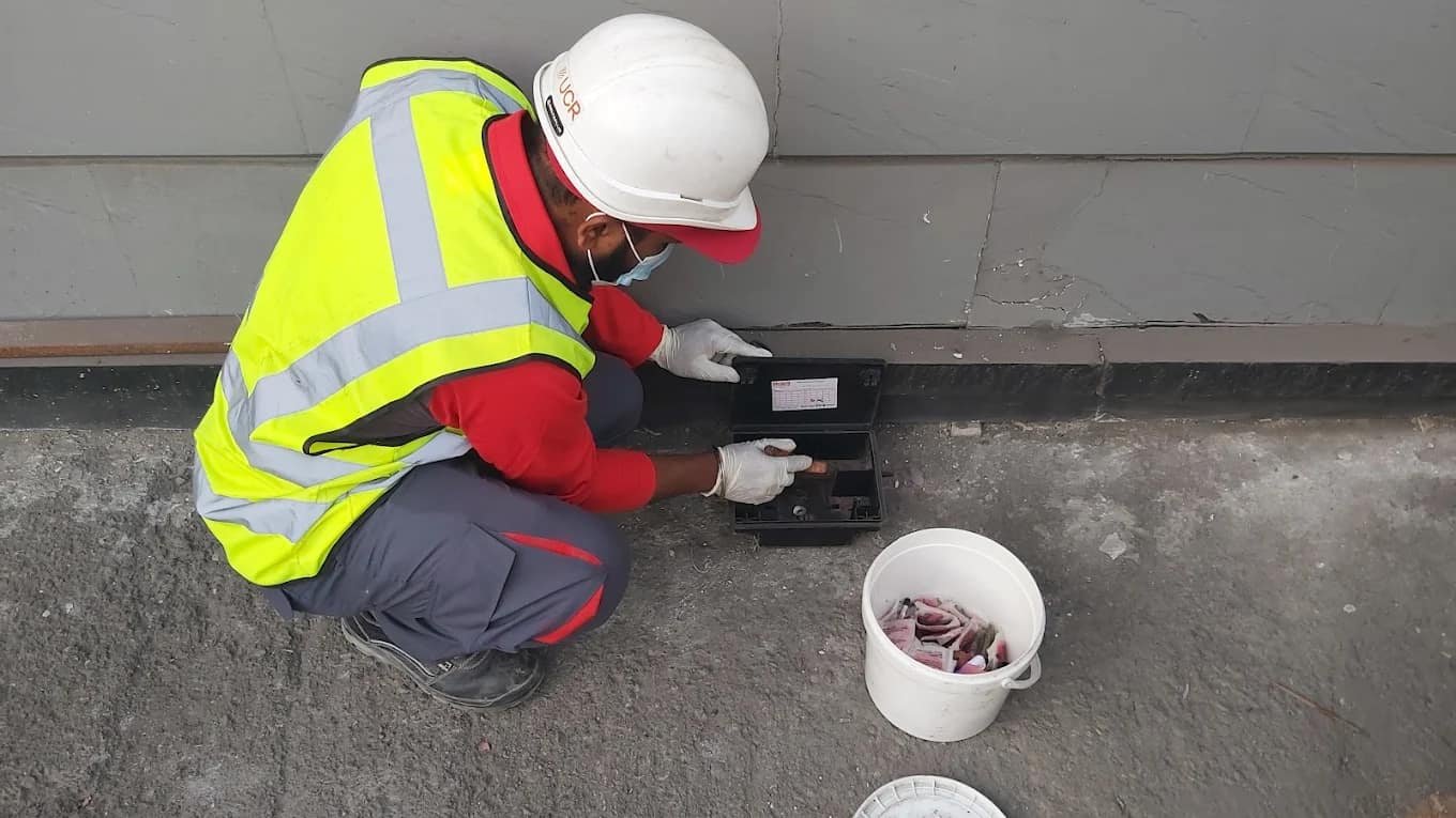 Debug Pest Control Sharjah - Debug Pest Control Services Sharjah   ديبغ لخدمات مكافحة الحشرات