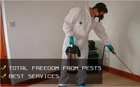 Lulu Pest Control Dubai - photo 5