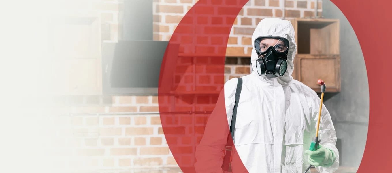 QPC - Quality Pest Control Abu Dhabi - QUALITY PEST CONTROL L.L.C (Abu Dhabi)
