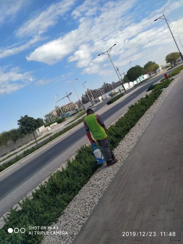 QPC - Quality Pest Control Sharjah - Quality Pest Control L.L.C Sharjah