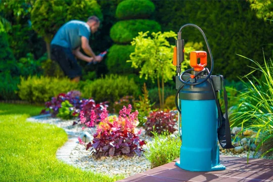 Al Jazeerah Pest Control Abu Dhabi, Eco friendly and Safe Pest Control Solutions