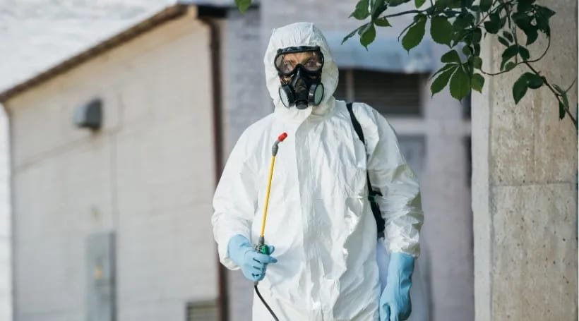 Al Jazeerah Pest Control Abu Dhabi, Pest Control Services in Abu Dhabi Al Jazeerah Pest Control