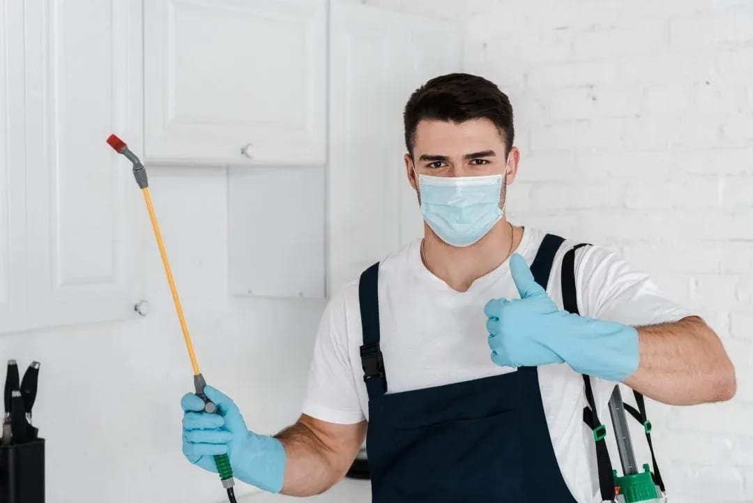 Al Jazeerah Pest Control Abu Dhabi, Pest Control Services in Abu Dhabi Al Jazeerah