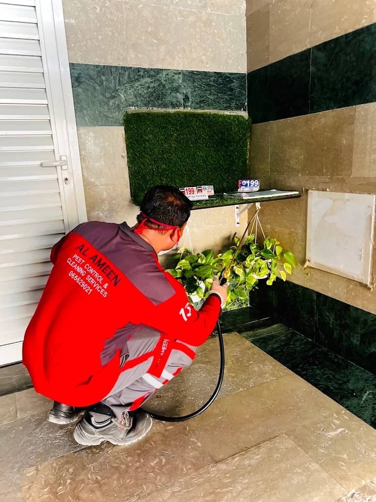 Al Ameen Building Cleaning and Pest Control