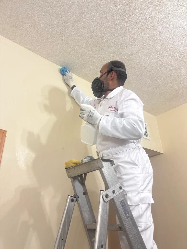 Al Mumtaz Bldg Clean & Pest Control (MUMTAZ)