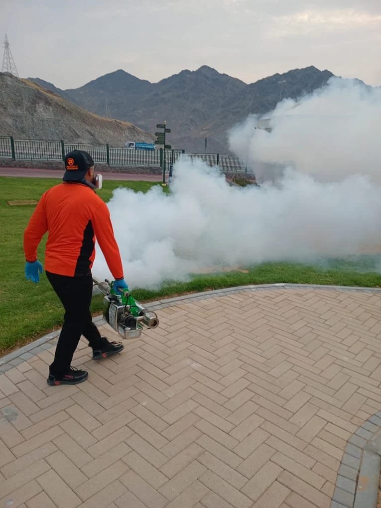 PROSHIELD Pest Control & Disinfection Services Sharjah, photo 3